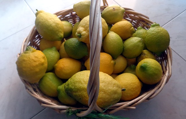 La raccolta dei limoni