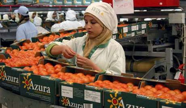 Invasi dai pomodori del Marocco agricoltori in agitazione