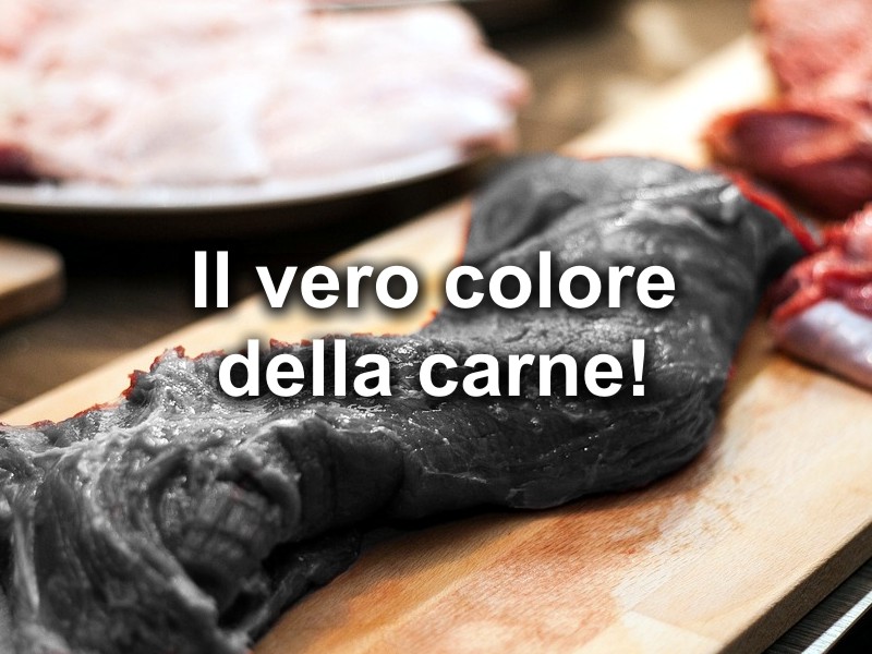 La carne è morta i vegetali crescono!