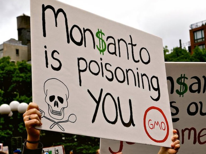 Monsanto: il glifosato causa danni alla ghiandola pineale?
