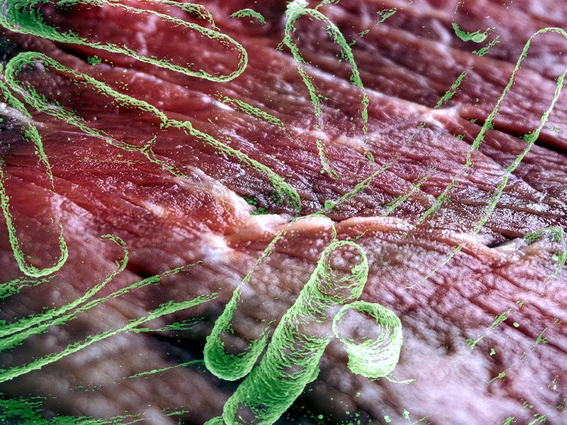 Report: guerra alla carne batteriologica!