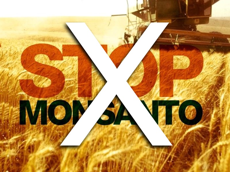 Bayer compra Monsanto: gli OGM entrano in Europa e presto sulle tavole!