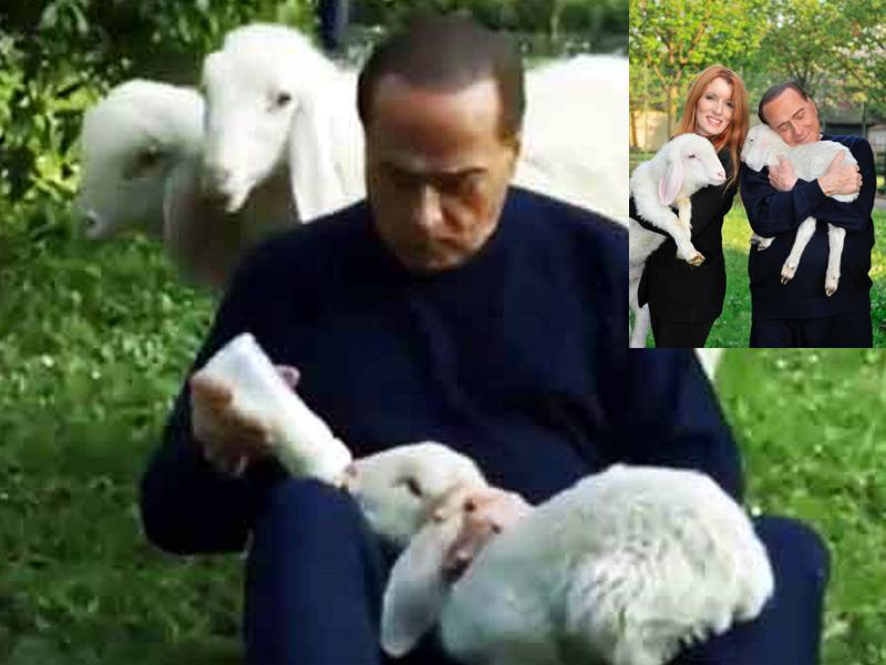 😵 Berlusconi è il nuovo “signore” degli agnelli!