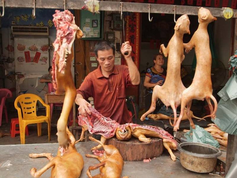 👹 Carrefour vende carne di cane in Cina