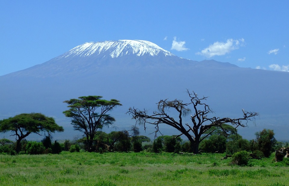 🏔 Vegani sulla cima del Kilimangiaro